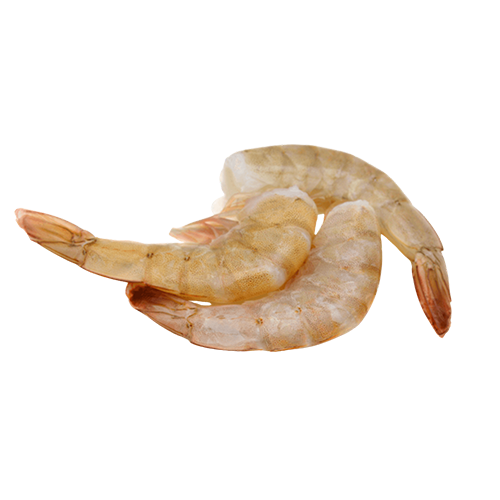 Headless with Shell On