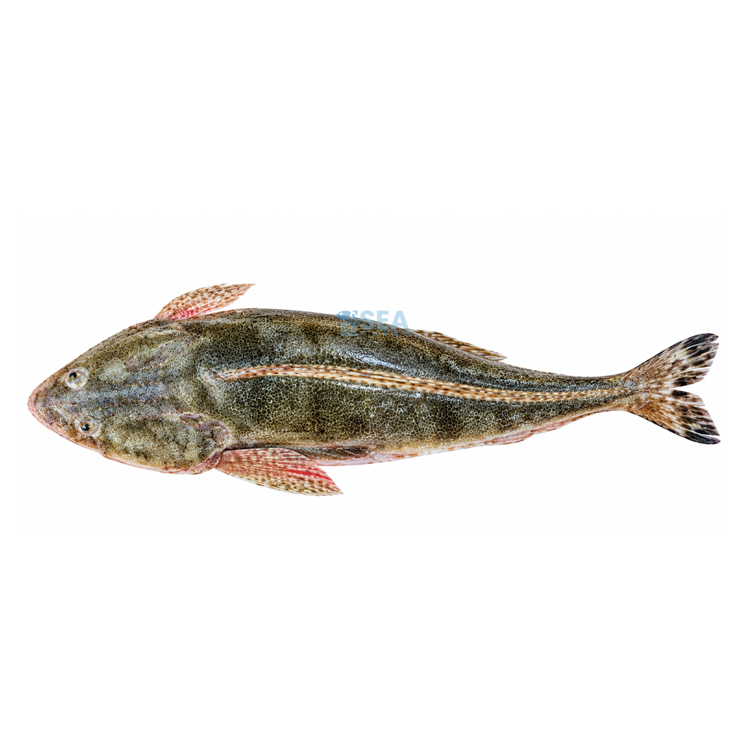 Flathead (Kukkar) — image 1