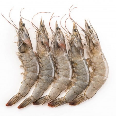 Large Prawns