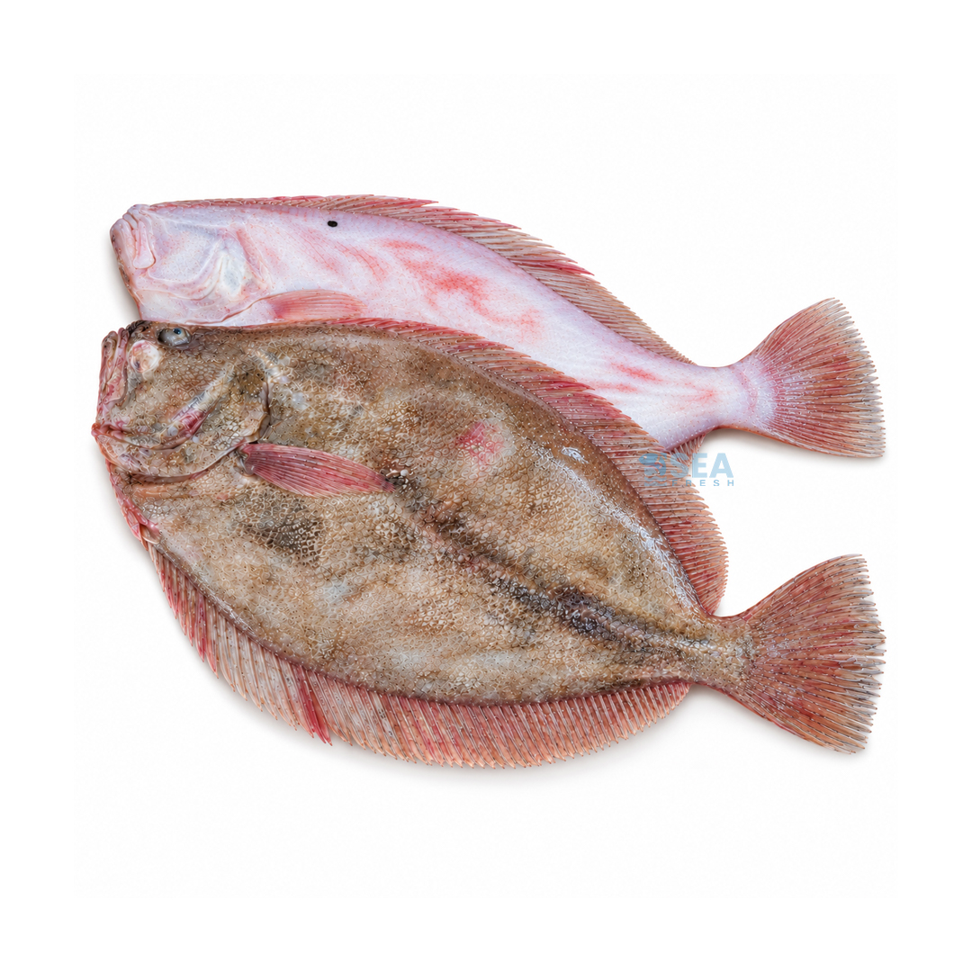 Lemon Sole (Gol Sole)
