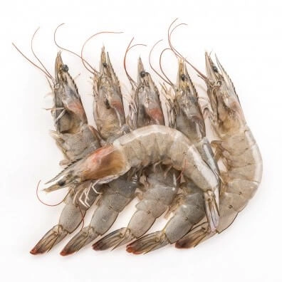 Medium Prawns