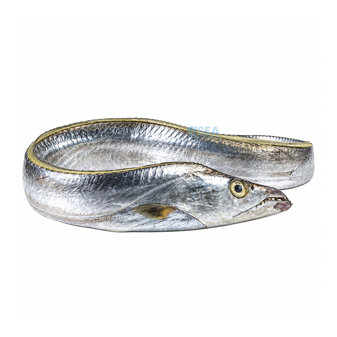 Ribbonfish (Chind)