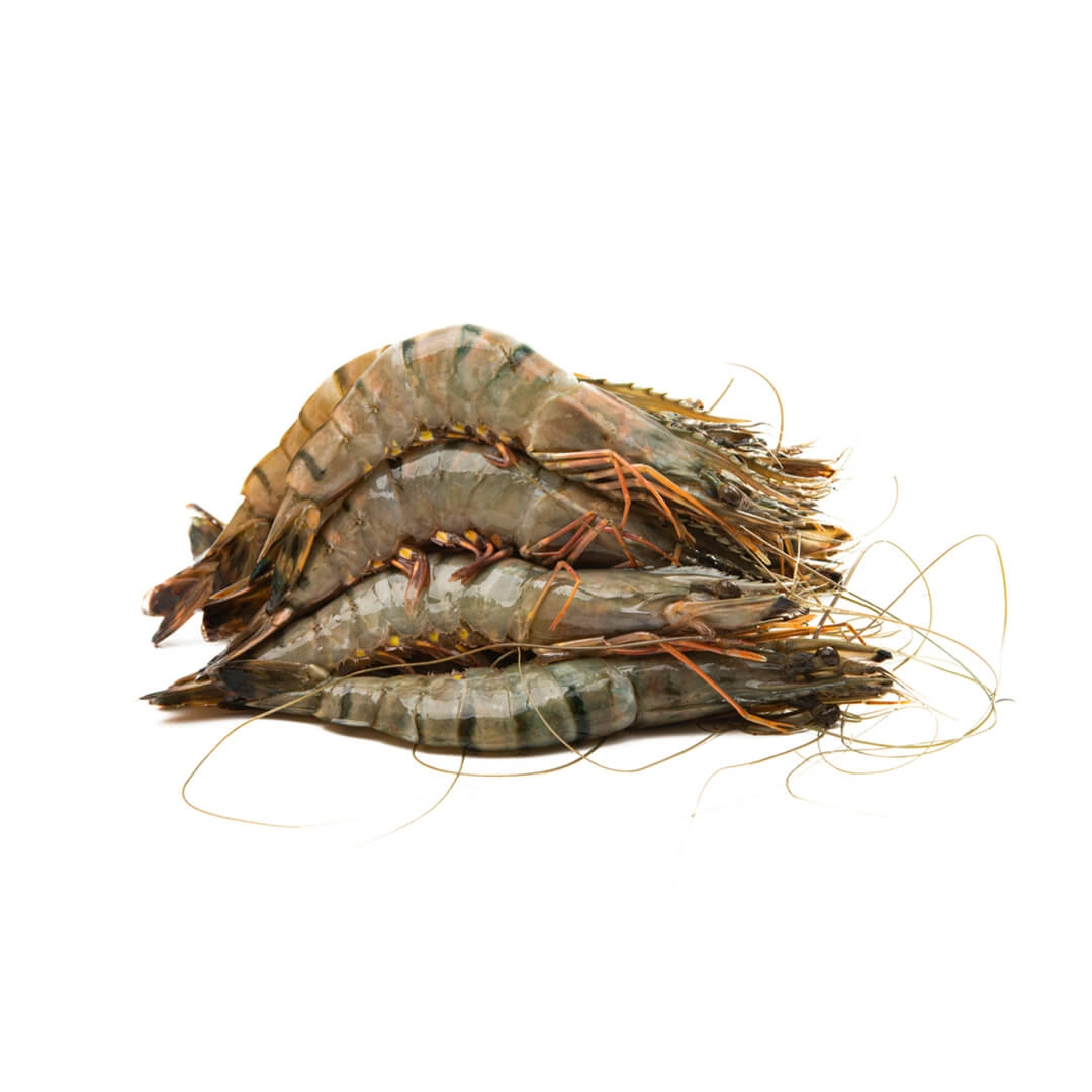 Super Tiger Prawns — image 1