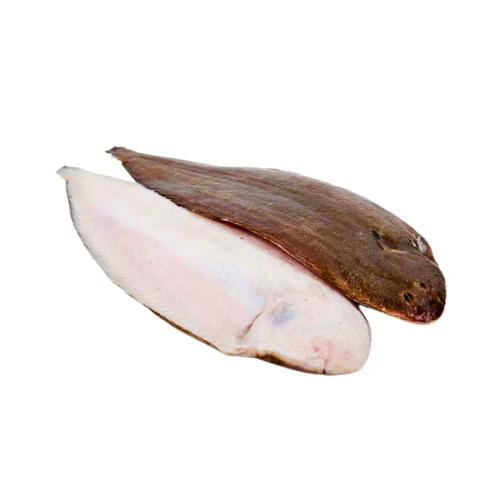 Tongue Fish (Patti Sole) — image 1